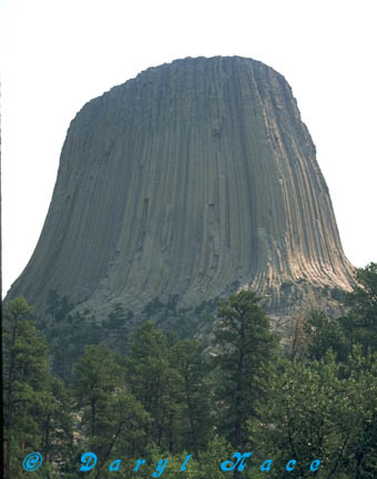 Devil's Tower