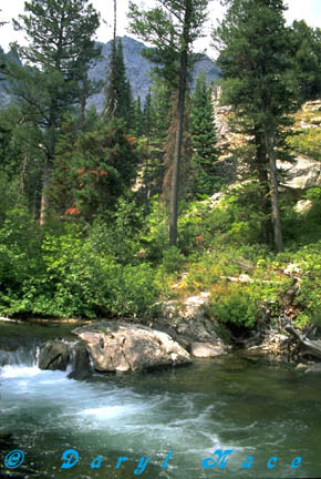 Grand Teton