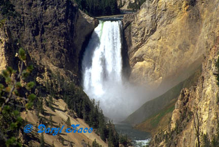 Yellowstone Falls